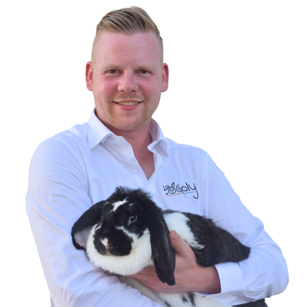 Twee jonge dwerg hangoorkonijnen in de kleur chinchilla en chinchilla bont die buiten op het gras zitten